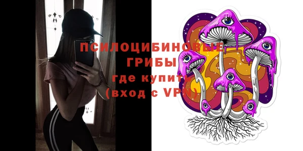 дмт Аркадак