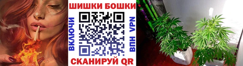 даркнет сайт  darknet состав  Канабис OG Kush  Цимлянск 